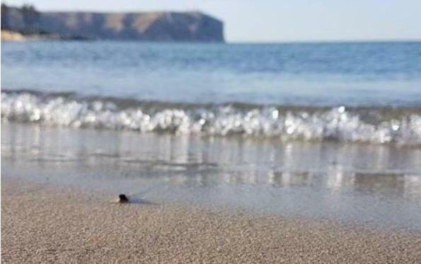 Acogedor Y Precioso Atico En Javea Primera Linea Playa Eksteriør billede